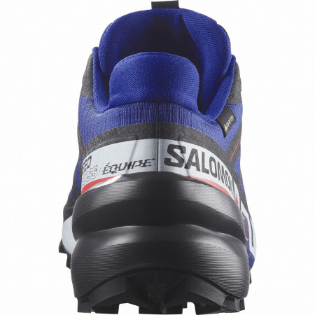 Calzado de hombre Salomon Speedcross 6 Gore-Tex Equipe