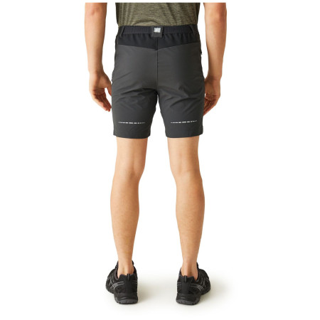 Pantalones cortos de hombre Regatta Mountain ShortsII M