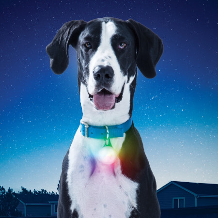 Colgante luminoso Nite Ize SPOTLIT XL