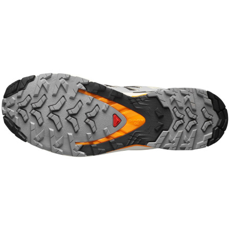 Calzado de hombre Salomon Xa Pro 3D V9