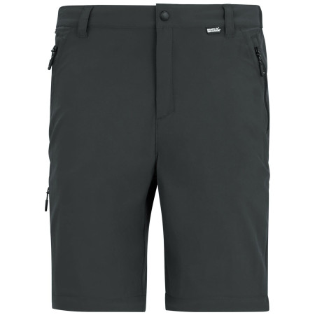 Pantalones de hombre Regatta Anti-Insect Travel Light Z/O Trousers