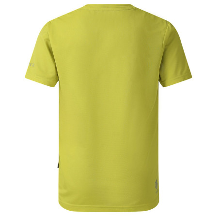 Camiseta para niños Dare 2b Amuse III Tee Frgle Sprout