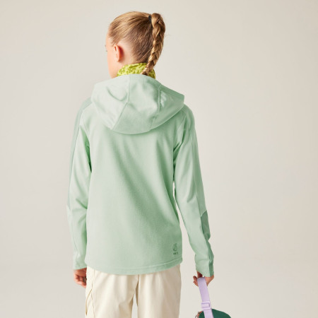 Chaqueta para niños Dare 2b Thriving IV Stretch Midlayer Celadon