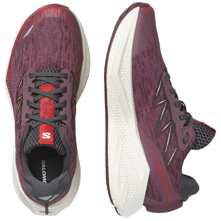 Zapatillas de carrera para mujer Salomon Aero Glide 4