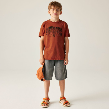 Camiseta para niños Dare 2b Trailbazer III Tee Arabian Spice