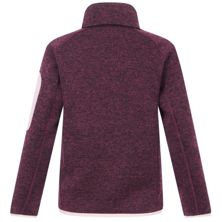 Sudadera para niños Regatta Junior Newhill Fig Powder Lilac