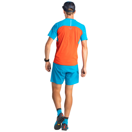 Zapatillas de carrera para hombre Dynafit Alpine