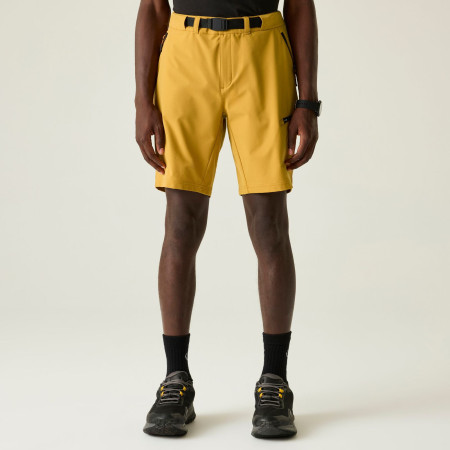 Pantalones cortos de hombre Dare 2b Tuned In Pro II Short