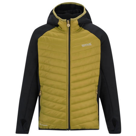 Chaqueta para niños Regatta Junior Andreson Hybrid BlkWdBrown verde BlkWdBrown