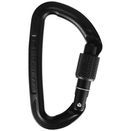 Mosquetón Wild Country Session Screw Gate negro black