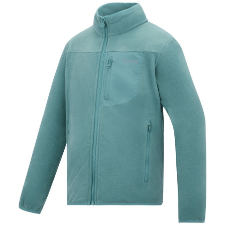 Sudadera para niños Regatta Junior Frankie F/Z Ivy Moss