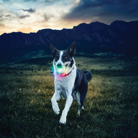 Juguete para perro Nite Ize Glowstreak LED Ball