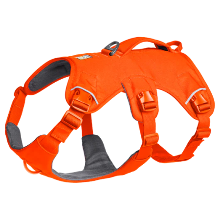 Arnés para perro Ruffwear Web Master™ Harness
