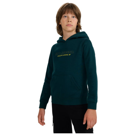 Sudadera para niños 4F Sweatshirt M1959
