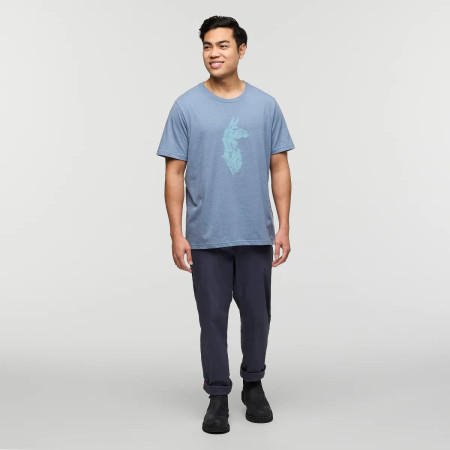 Camiseta de hombre Cotopaxi Into the Pines T-Shirt