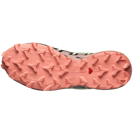Calzado de mujer Salomon Speedcross 6 Gore-Tex
