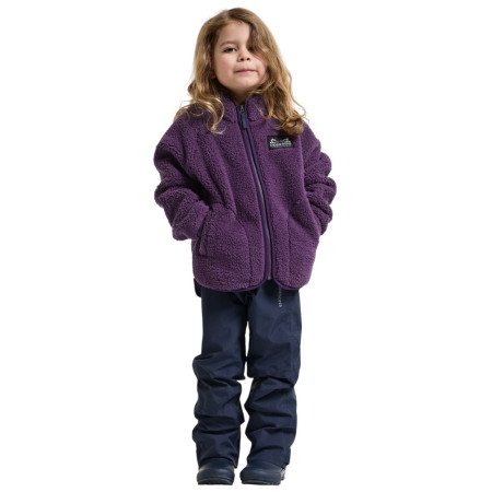 Sudadera para niños Didriksons Gibbs Kids Fullzip 2 Northen Purple