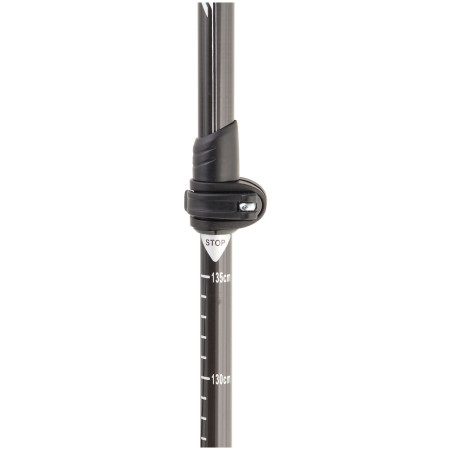 Bastones de senderismo Axon Light