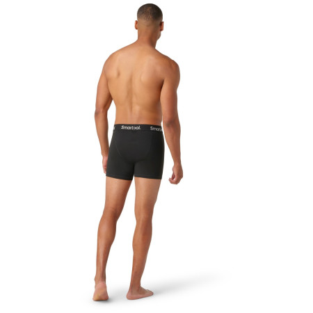 Calzoncillos bóxer para hombre Smartwool M Boxer Brief Boxed
