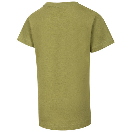 Camiseta para niños Alpine Pro Nogero Green Oasis