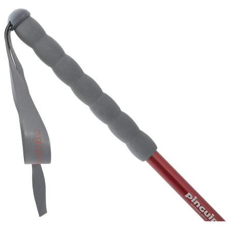 Bastones de senderismo Pinguin Fastrail TL Foam