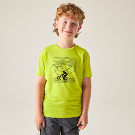 Camiseta para niños Dare 2b Amuse III Tee Frgle Sprout