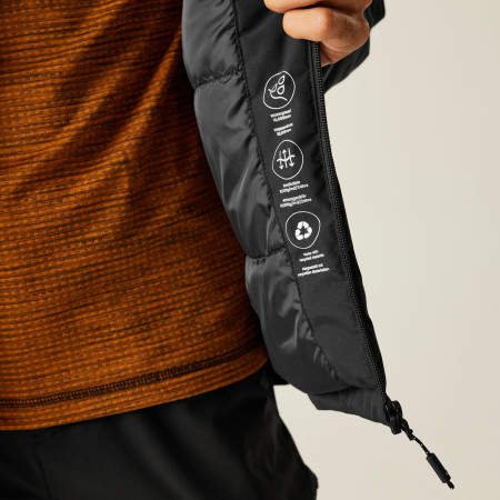 Chaqueta de hombre Regatta Frelton