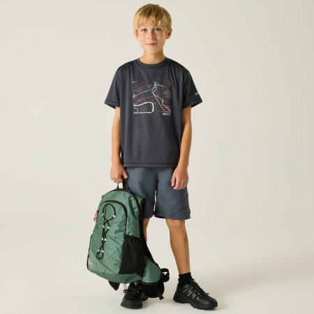 Camiseta para niños Regatta Alvarado Seal Grey
