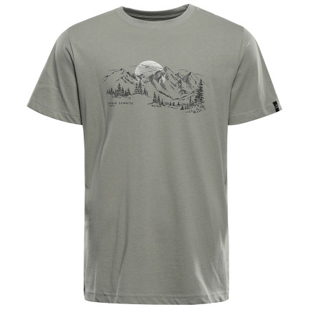 Camiseta de hombre Alpine Pro Termes 4 gris Grey