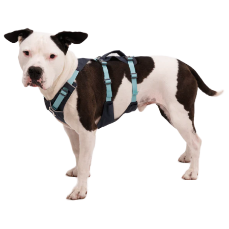 Arnés para perro Ruffwear Flagline™ Harness