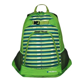 Mochila Husky Moot 21 verde