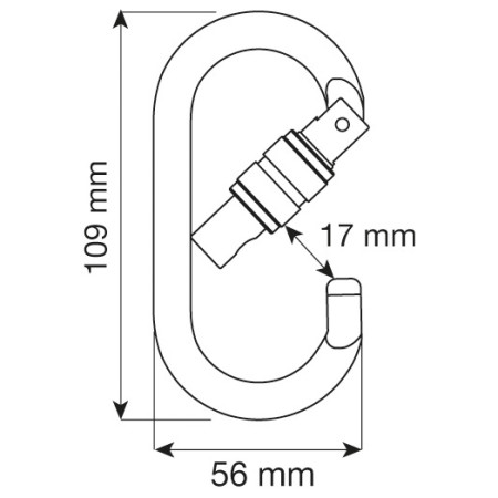 Mosquetón Camp Oval Pro Lock