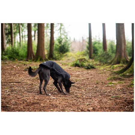 Impermeable para perro Mountain Paws Fleece-Lined Dog Raincoat