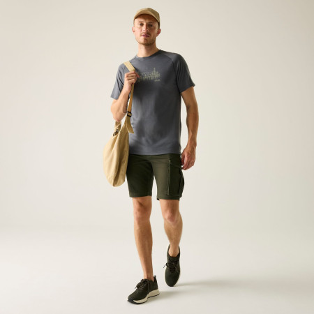 Pantalones cortos de hombre Regatta Bendrick Shorts