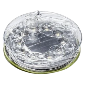 Linterna LED MPOWERD Luci Outdoor