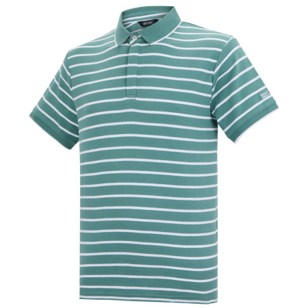 Camiseta de hombre Regatta Tiver