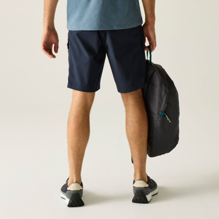 Pantalones cortos de hombre Regatta Arlery Shorts