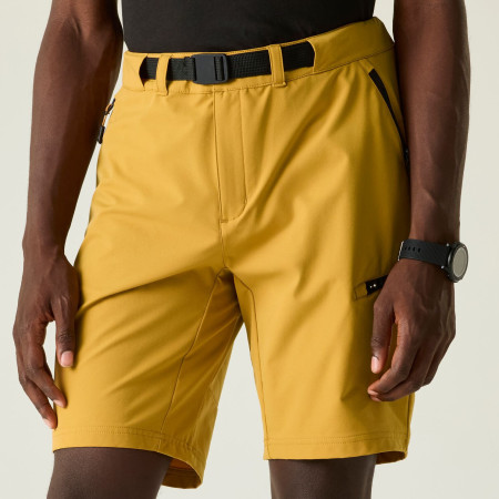 Pantalones cortos de hombre Dare 2b Tuned In Pro II Short