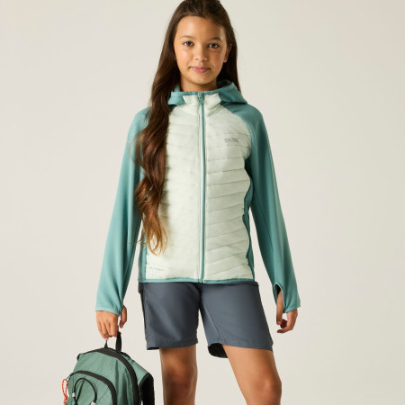 Chaqueta para niños Regatta Junior Andreson Hybrid IvyMossOMist