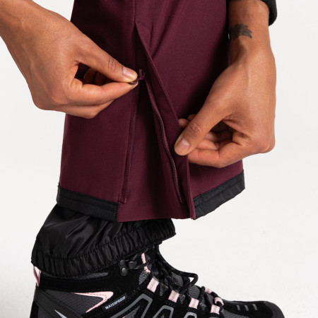 Pantalones de esquí para mujer Dare 2b Diminish Pant