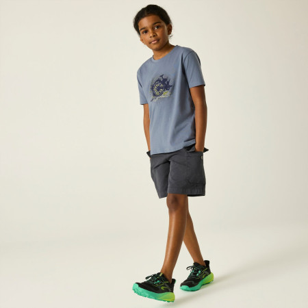 Camiseta para niños Dare 2b Trailbazer III Tee Mercury