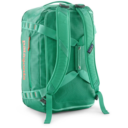 Bolsa de viaje Patagonia Black Hole Duffel 40L