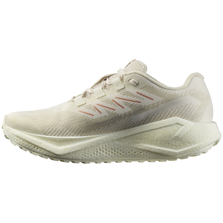 Zapatillas de carrera para mujer Salomon Aero Blaze 3 Grvl