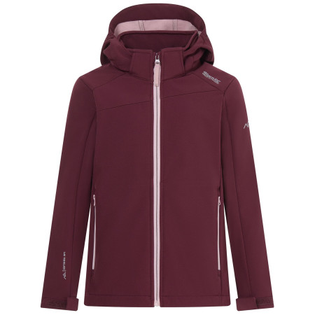 Chaqueta softshell para niños Regatta Haydenbury Fig violeta Fig Powder Lilac