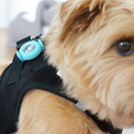 Luz para perro Curli Luumi LED