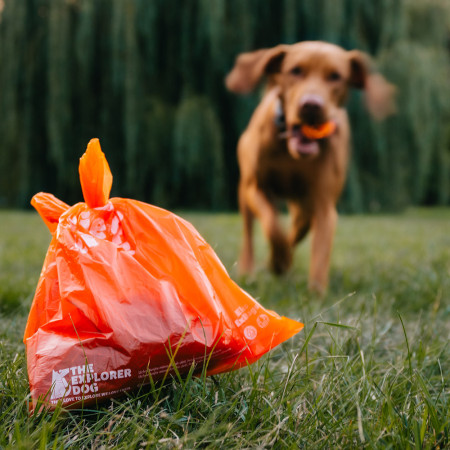 Bolsas para excrementos de perros Explorer Dog Eko Exbags 60 ks
