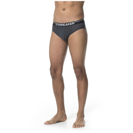 Calzoncillos de hombre Icebreaker Mens Anatomica Briefs