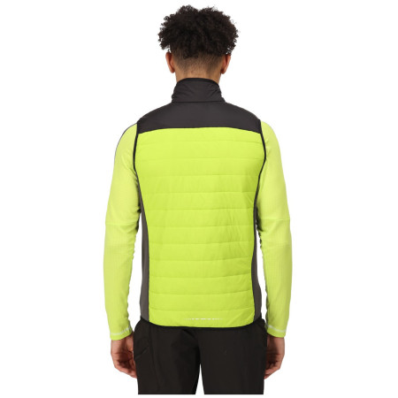 Chaleco de hombre Regatta Halton BW VI