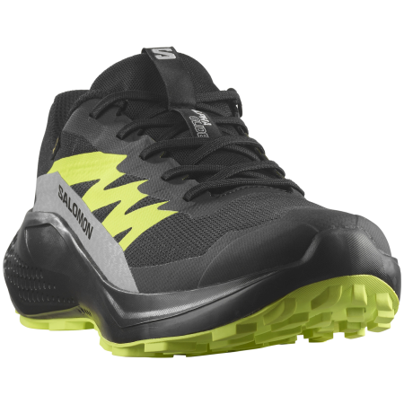 Zapatillas de carrera para hombre Salomon Alphaglide Gore-Tex