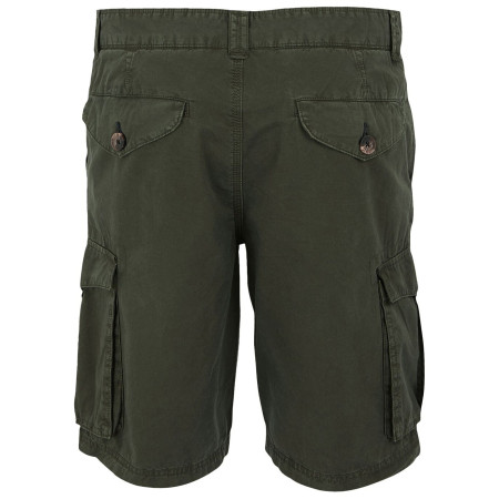 Pantalones cortos de hombre Regatta Shorebay Shorts II